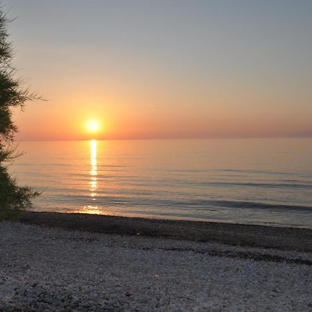 Tassos Apartments Corfu  Ngoại thất bức ảnh